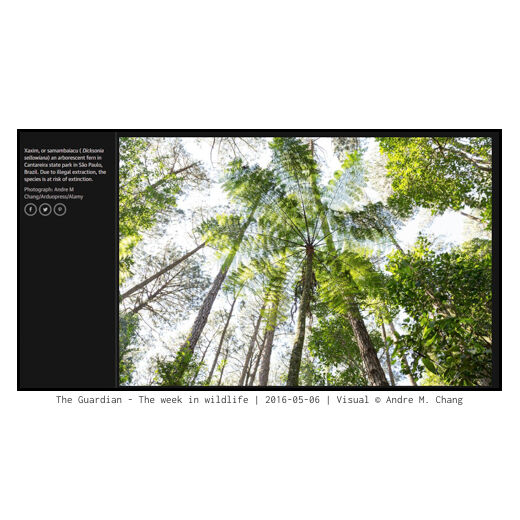 The Guardian - The week in wildlife