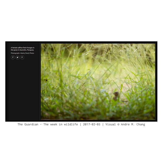 The Guardian - The week in wildlife