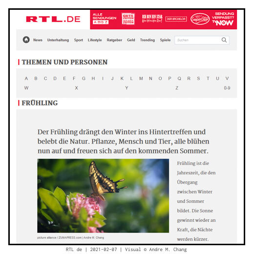 RTL.de