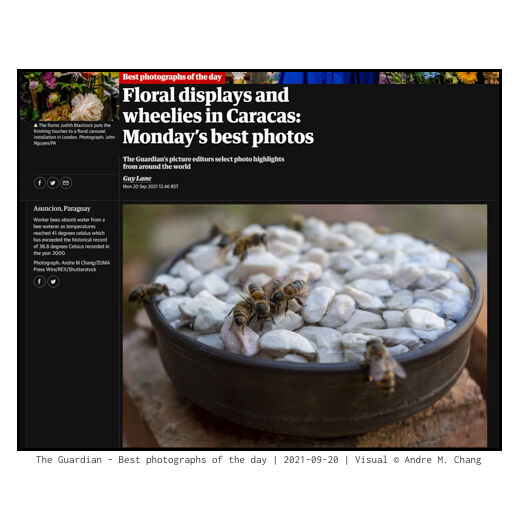 The Guardian - Best photographs of the day