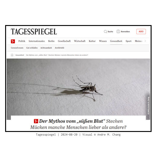 Tagesspiegel