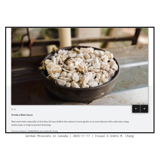 German Missions in Canada